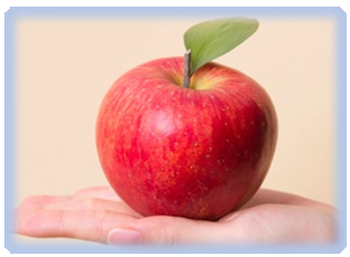 맛있는 사과 보관 방법