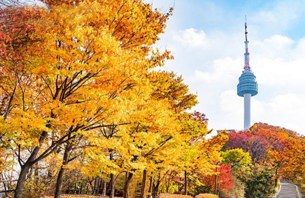 2023-서울-단풍명소