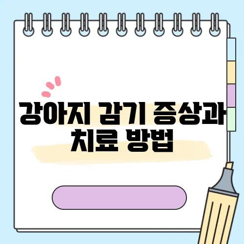 강아지 감기 증상과 치료 방법, 예방법도 필수입니다