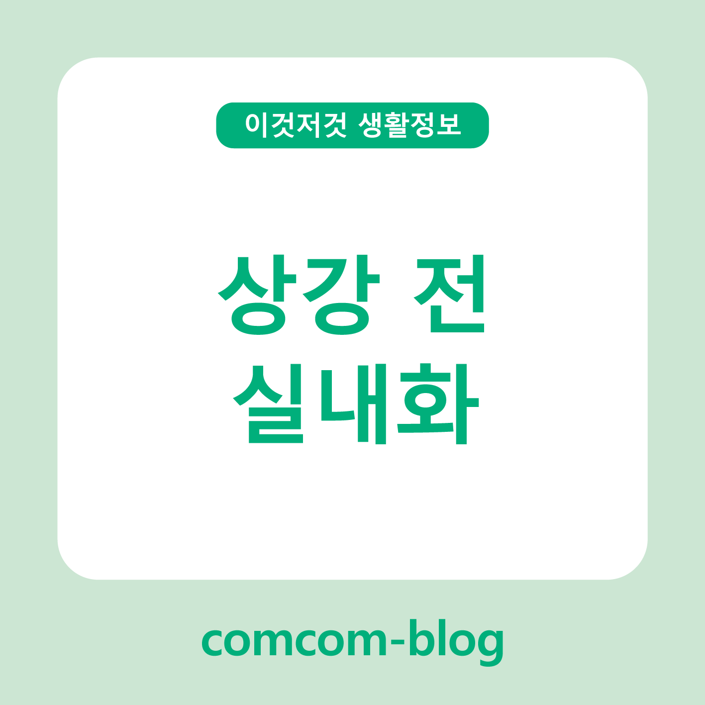 🍂 상강 전, 따뜻함을 준비하는 시간 - 실내화로 완성하는 계절의 감성