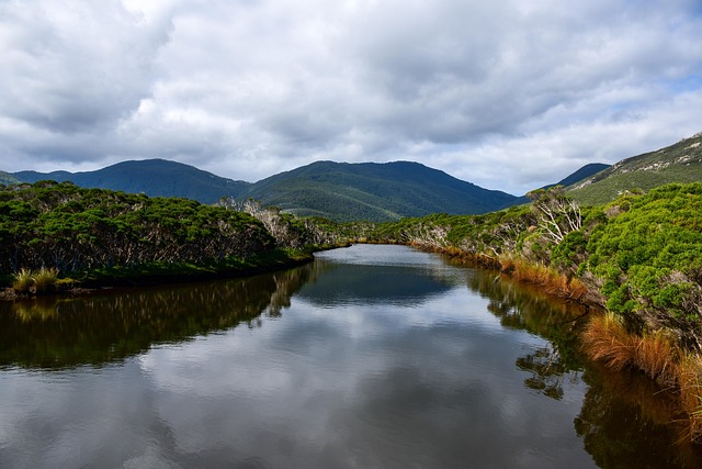 호주 힌친브룩 아일랜드 강 풍경