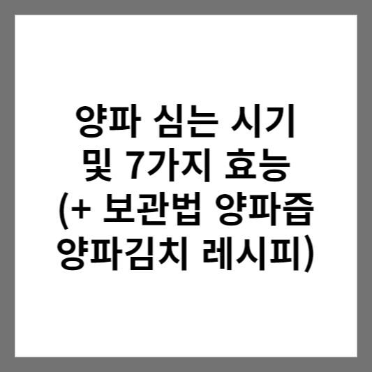양파 심는 시기 및 7가지 효능 (+ 보관법 양파즙 양파김치 레시피)