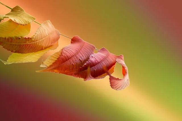 현미 식초 효능 10가지 부작용 먹는법에 대해서 알아보기_4