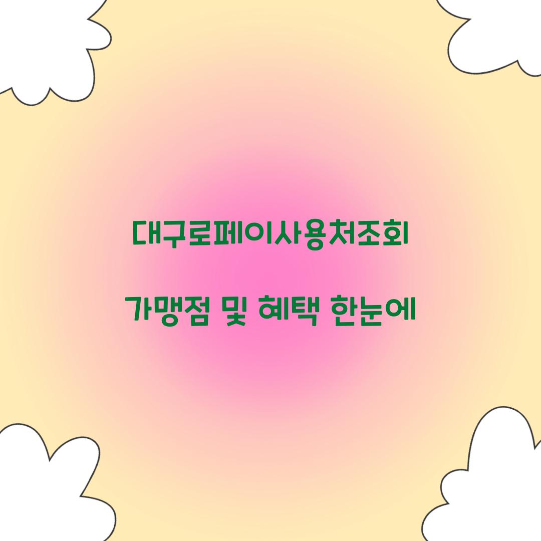 대구로페이사용처조회