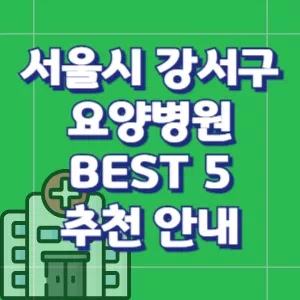 서울시-강서구-요양병원