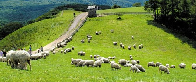 용평리조트 근처 가볼만한 곳３