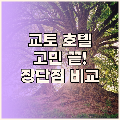 교토 호텔 고민 끝 온야도 노노, 호