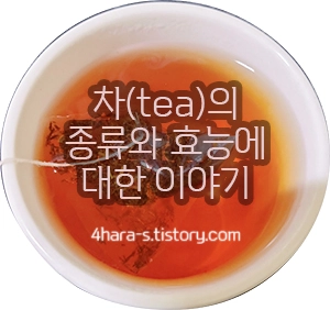 루이보스-티-이미지