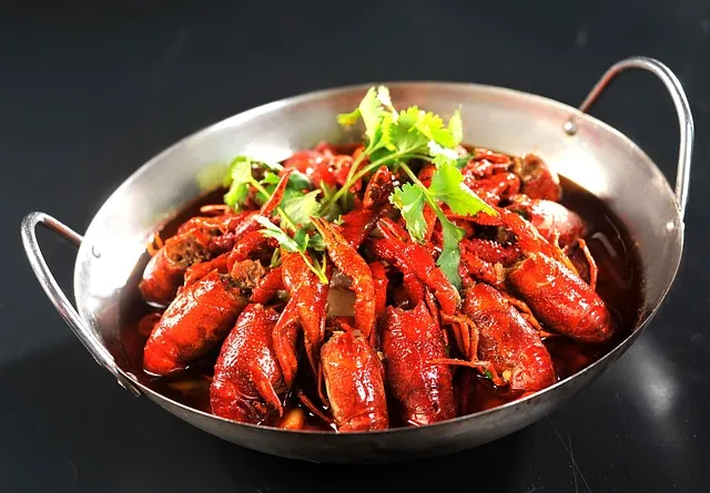 동해산타열차 시간표 예매가능한 날 가격_9