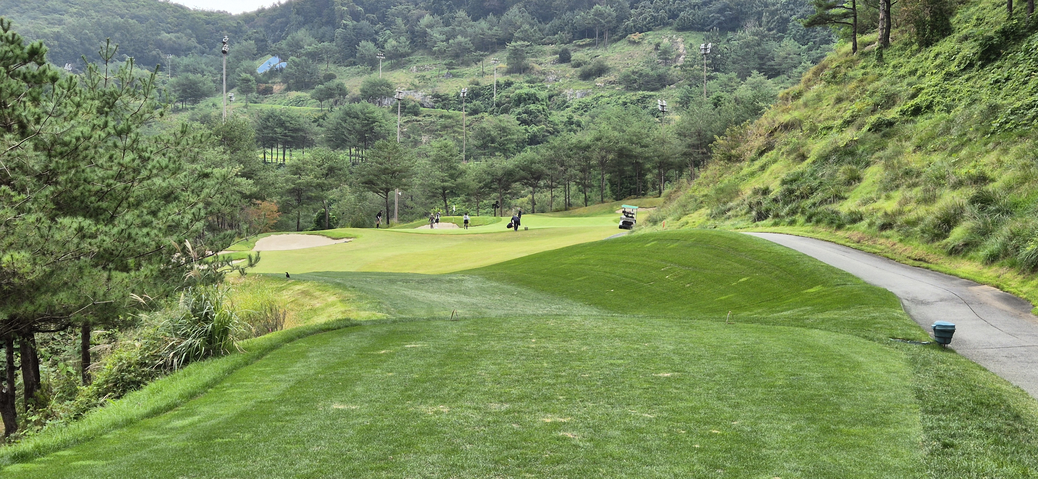 소노펠리체cc이스트