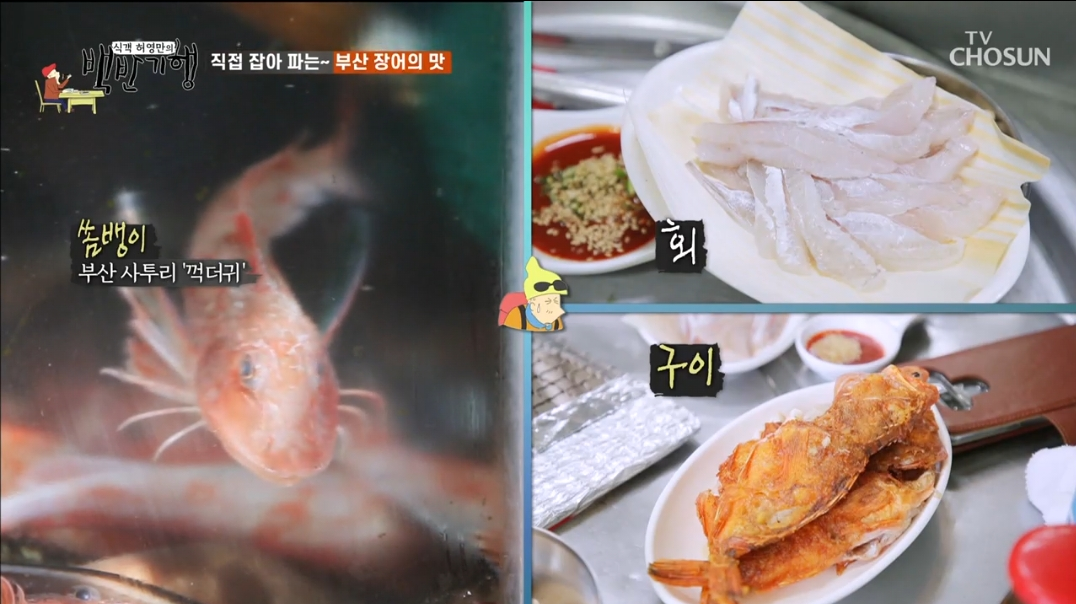 부산-쏨뱅이