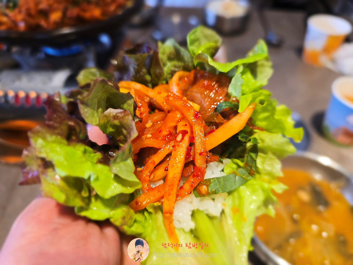 제주 고추장 불고기