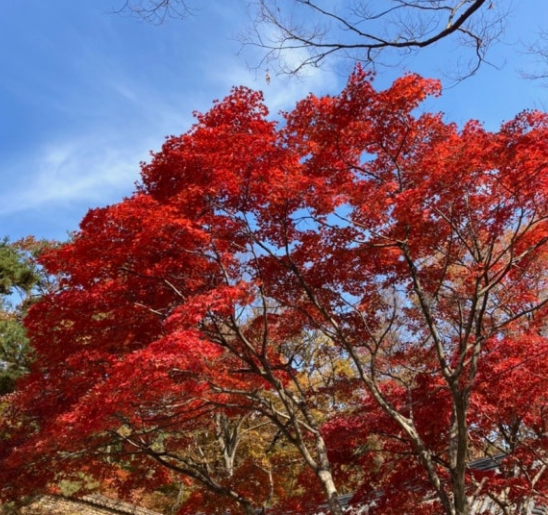 계룡산 국립공원