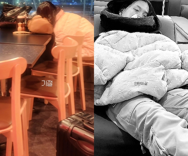 서진이네 시즌2 방송 일정 촬영지 출연진 