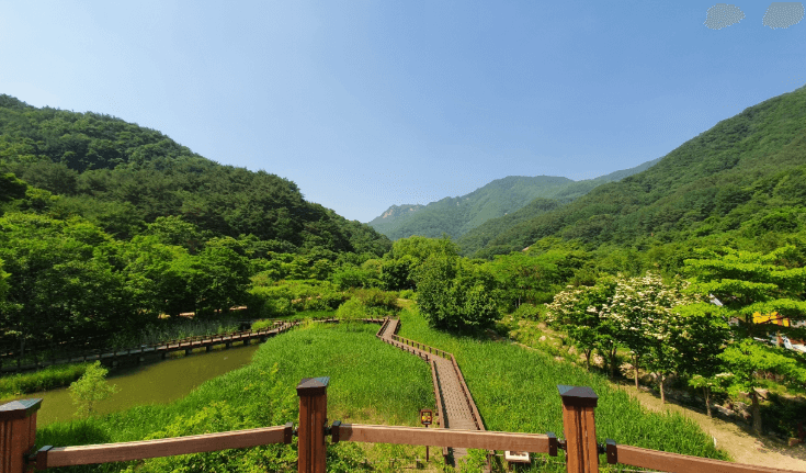 문경생태미로공원