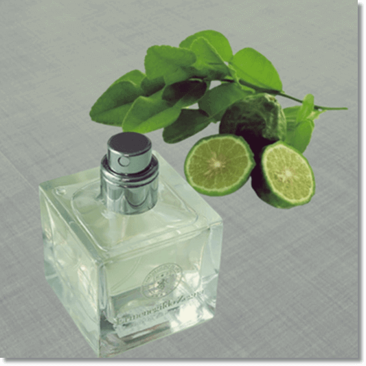 베르가못 효능, 베르가못 오일 사용법