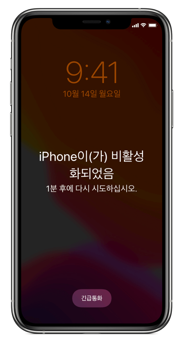iPhone 아이폰 비밀번호 잊어버린 경우