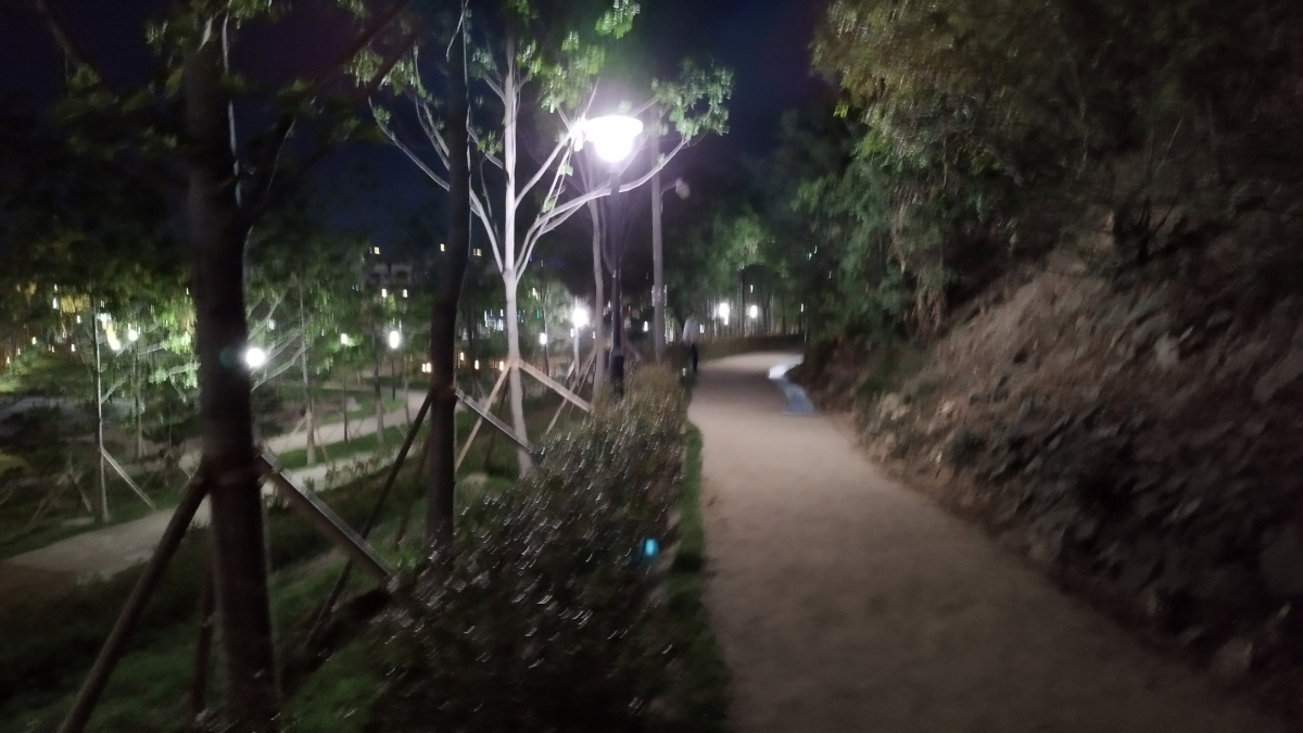 대구 도시숲 산책길