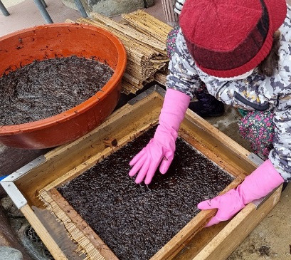한국기행-울릉도-돌김-고로쇠