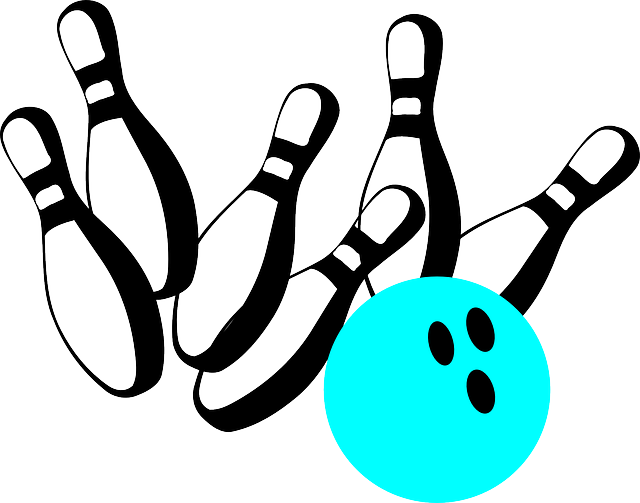 초보 볼러 볼링공 선택 방법확인