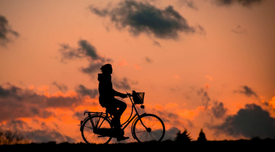강남 맛집 독도 꽃새우영번지 메뉴 예약 가격 주차장 꿀팁
