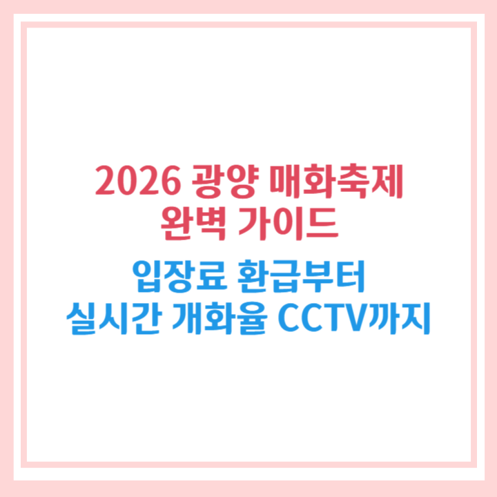 광양 매화축제