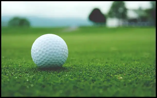 파크골프 경기규칙 (+ ob처치 방법 )