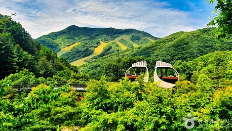 화담숲 모노레일