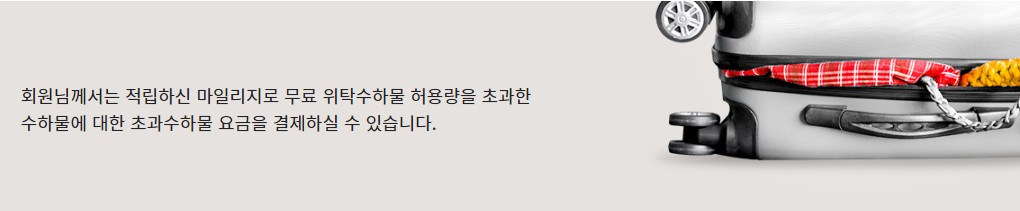 초과수하물