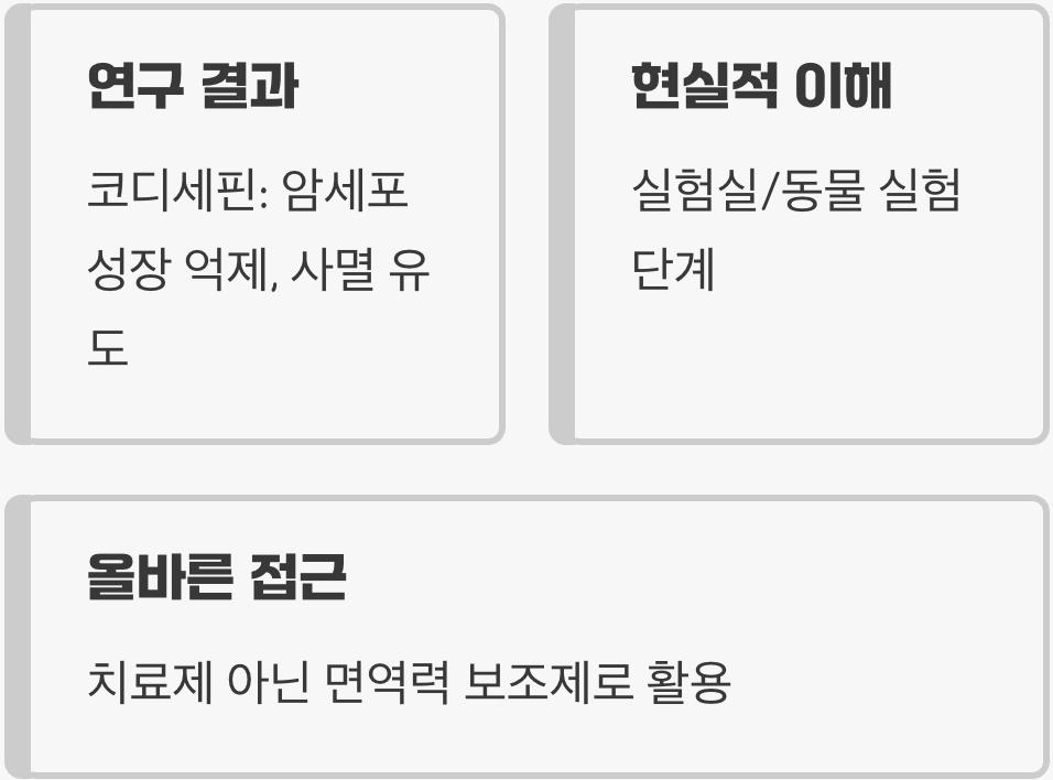 항암 효과에 대한 기대와 진실
