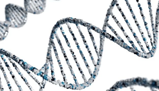 가치주와 성장주: 투자자가 꼭 알아야 할 차이와 전략