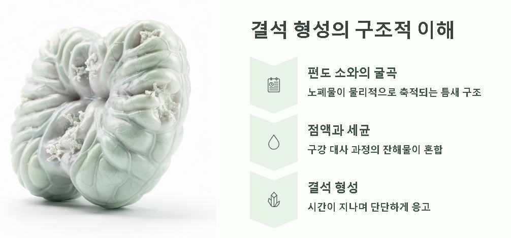 편도결석 제거법 노하우