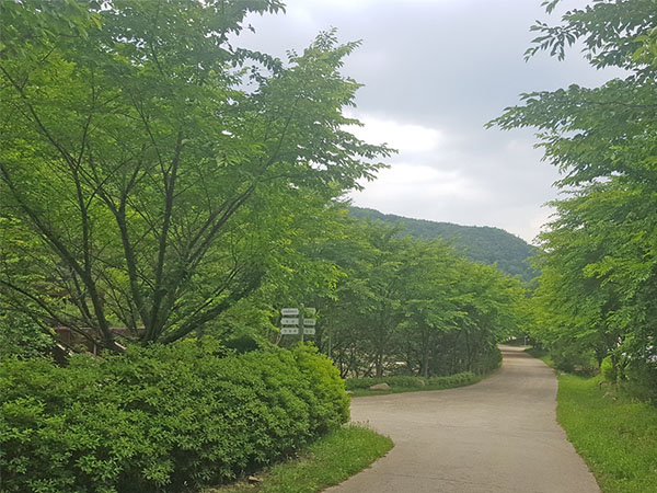 용현자연휴양림 산책