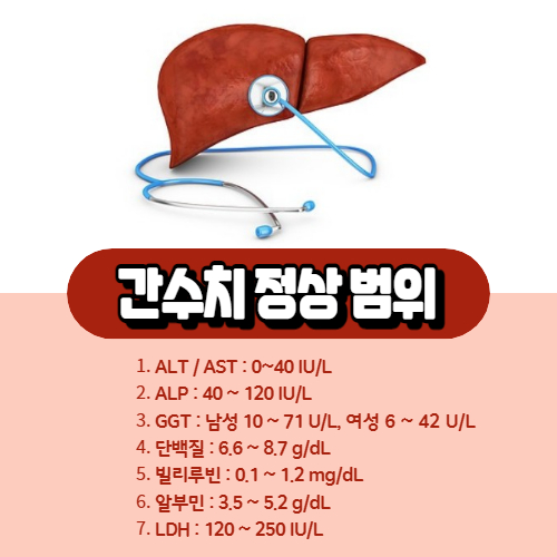 간수치 정상 범위