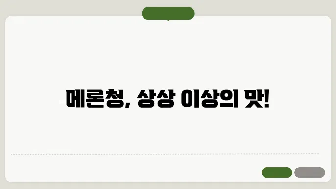 맛있는 메론청