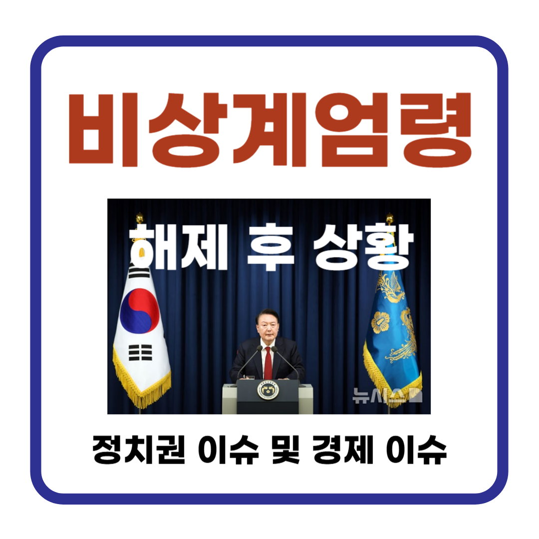 비상계엄령 해제 후 상황 정리 : 정치권 이슈 및 경제 이슈 (주식, ETF )