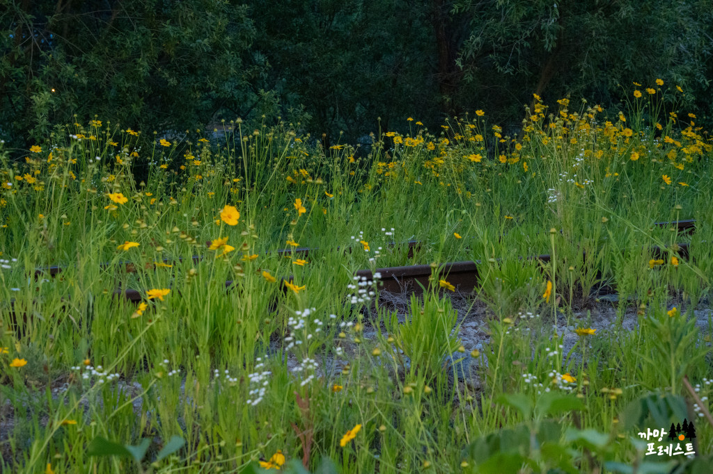 왕송호수 공원 산책로