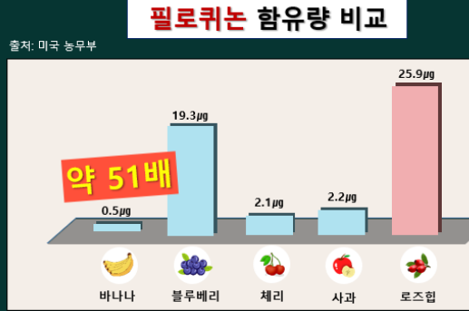 로즈힙퓨레
