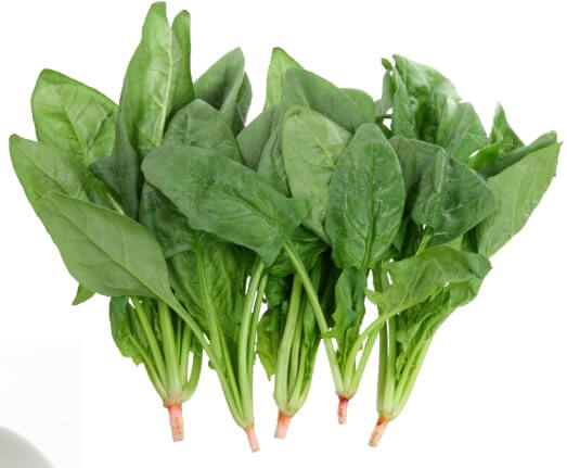 세계 10대 슈퍼푸드