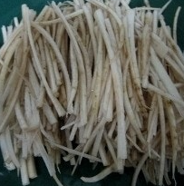 우엉 효능과 부작용 고르는법 요리 먹는법