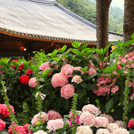 6, 7월 국내 여행지 가평 추천!