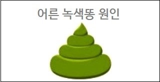 어른 녹색똥 원인