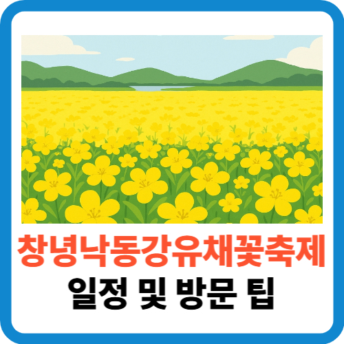 창녕 낙동강 남지 유채꽃축제 일정 및 방문 팁 총정리 썸네일