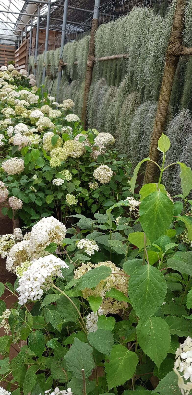 항공권 특가 놓치지 마세요! 인스턴트립·고고씽 추천