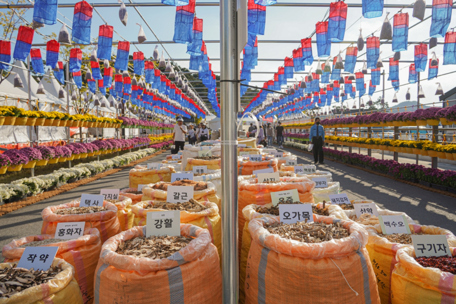 제 22회 영천한약축제 with 작약꽃 기본정보와 프로그램 소개