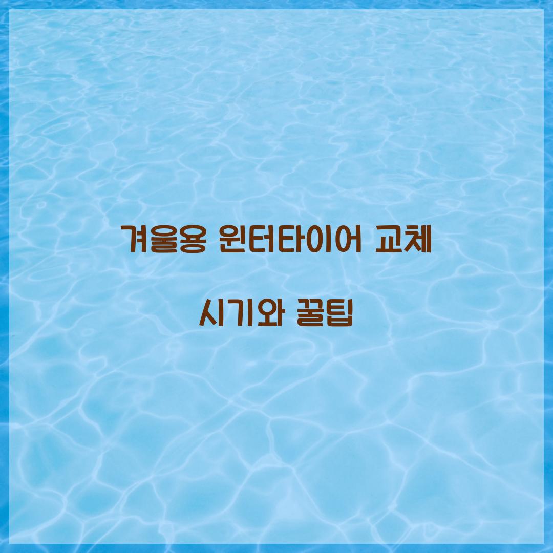 겨울용 윈터타이어 교체