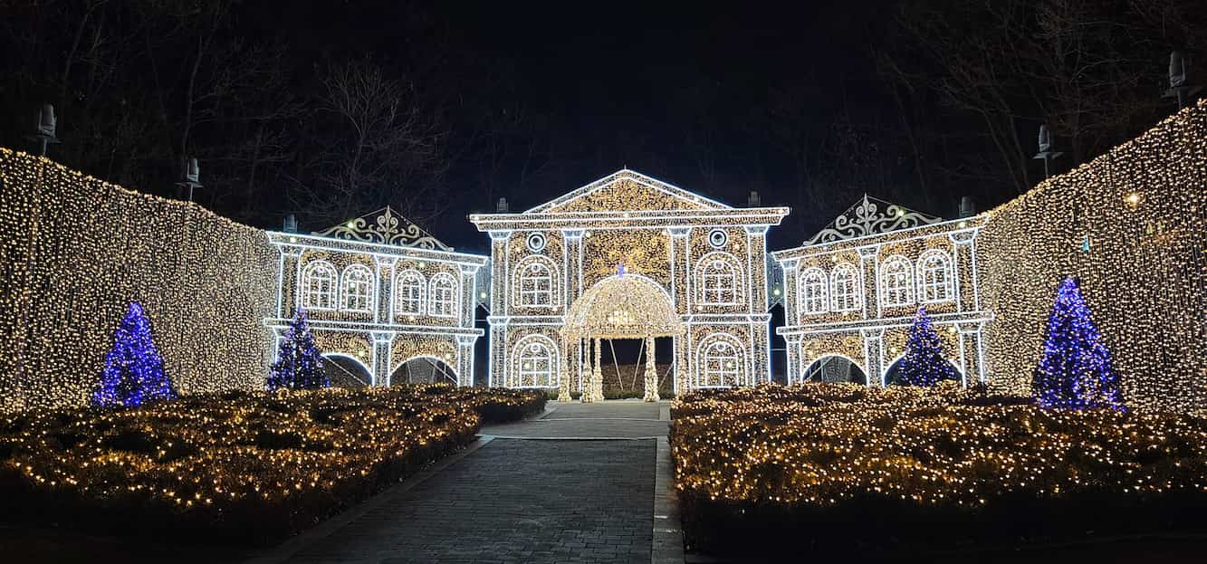 별빛정원우주 66