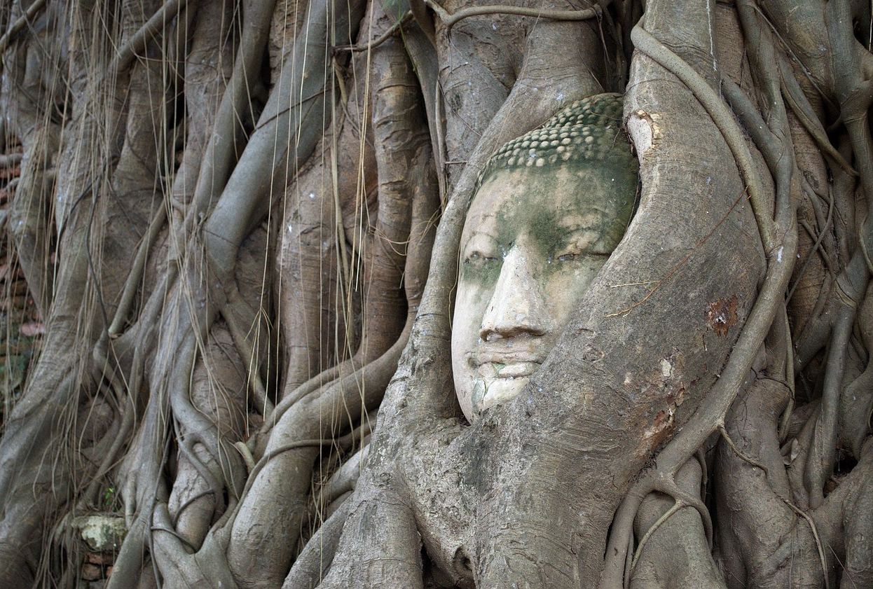 아유타야 자유여행 가이드