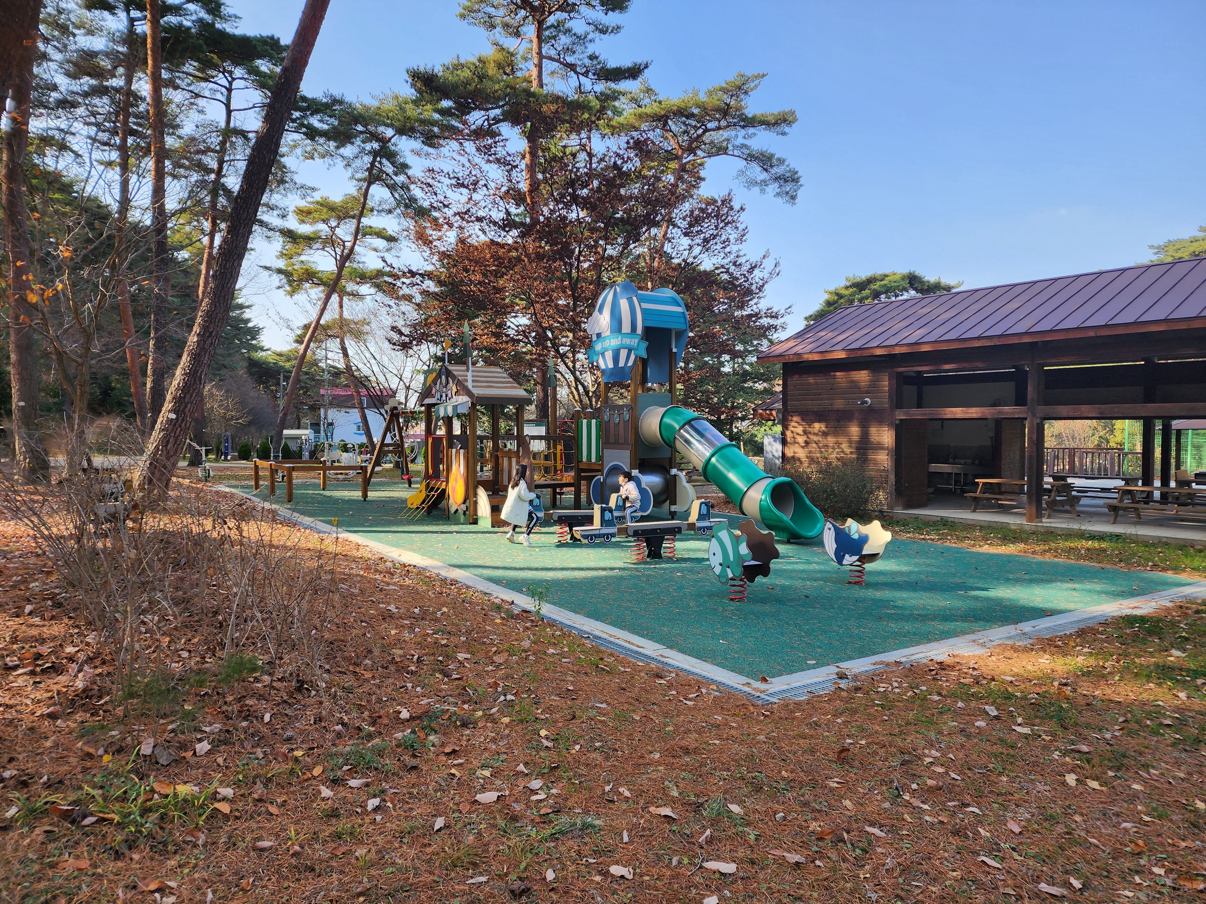 안면도-자연휴양림-숲속의집-피크닉장