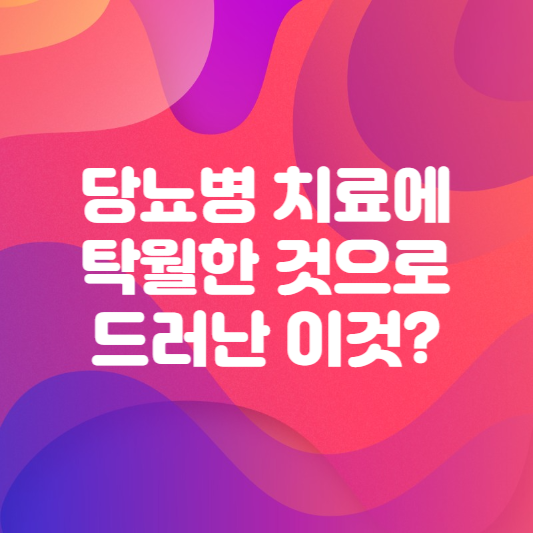 당뇨병 식이요법 치료